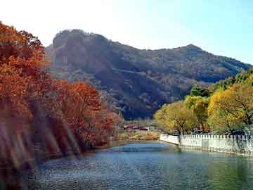 澳门二四六天天彩图库，北海道自驾游车祸